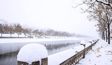 2022年元旦北京会下雪吗3
